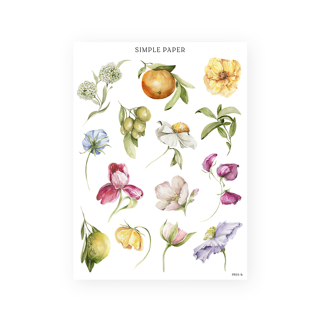 Individual citrus, olive sprigs and single blossoms in blue, pink, yellow and lilac, Sheet B