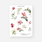 Blush poinsettia, red and cream berries, holly leaves and a frosted pine sprig, December 2024 Sheet B