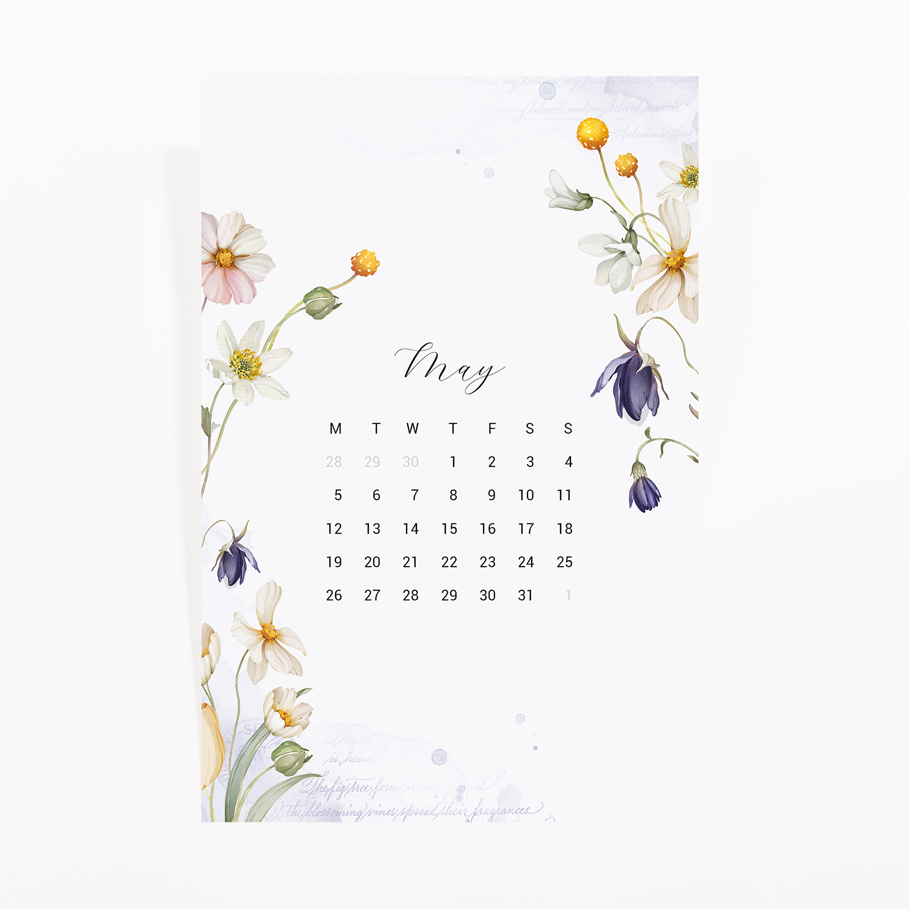 May 2025 calendar card bordered by cosmos, anemones, craspedia and bellflowers