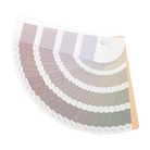 Sun-Star Iromekuri Stickers Sephia Colors