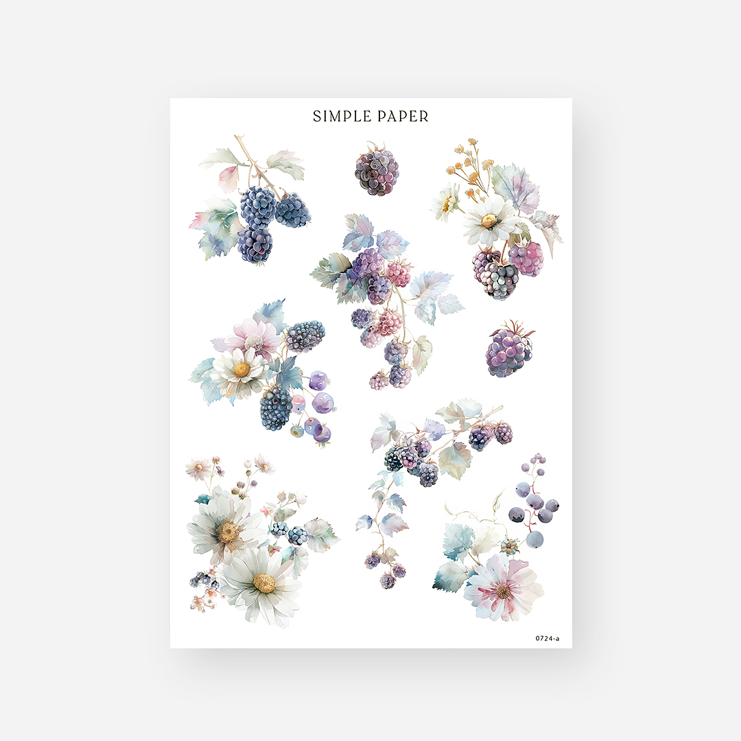 Watercolor blackberry clusters and white daisies with soft vines, July 2024 Sheet A