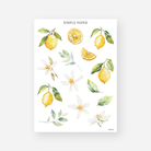 Lemon and citrus blossom stickers with lemon slices and leaf sprigs, June 2024 Sheet B