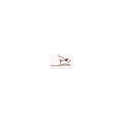 ranmyu Rubber Stamp Dog Walking Mini