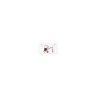 ranmyu Rubber Stamp Fishing Mini