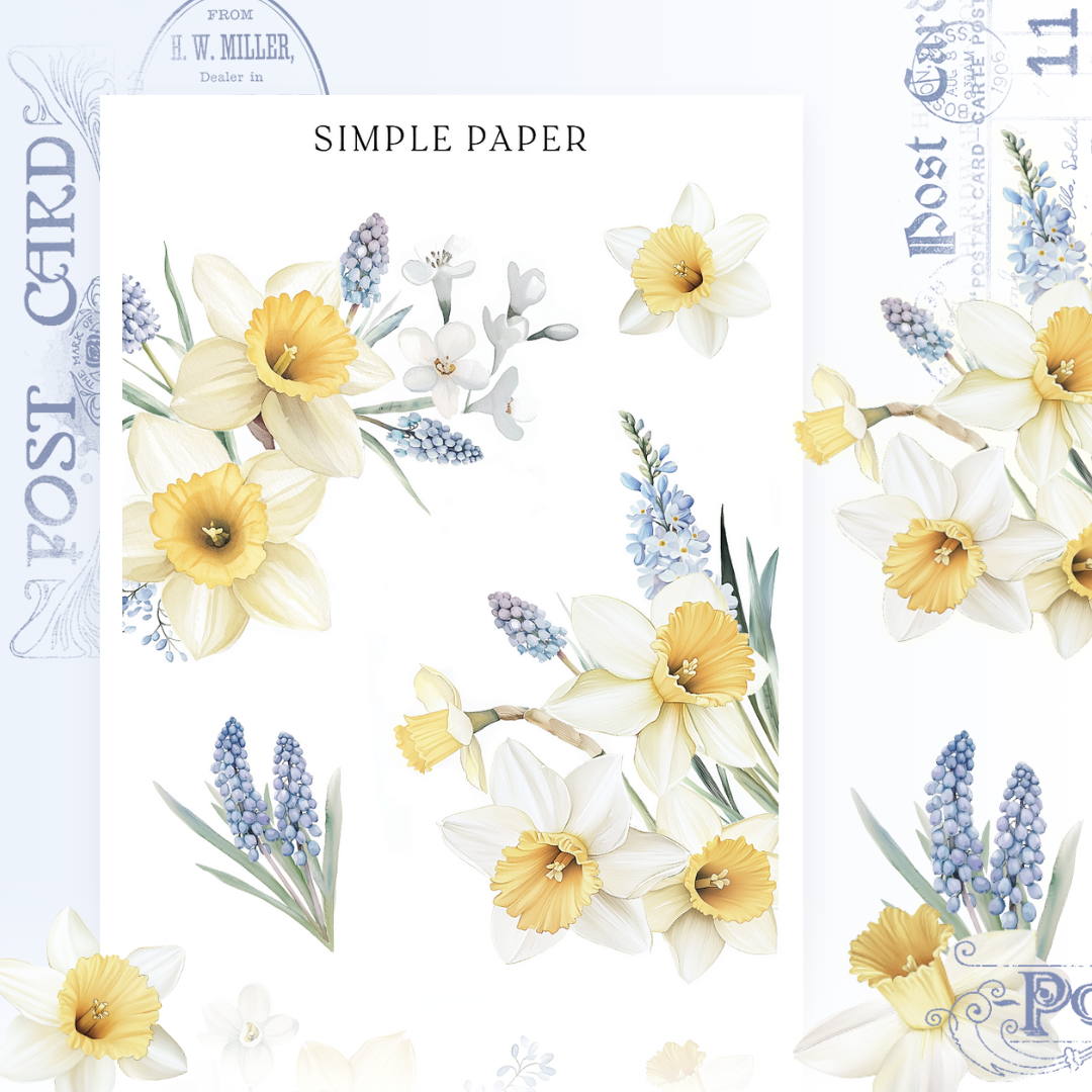 Daffodil, grape hyacinth and white blossom stickers in spring bouquets, Sheet N
