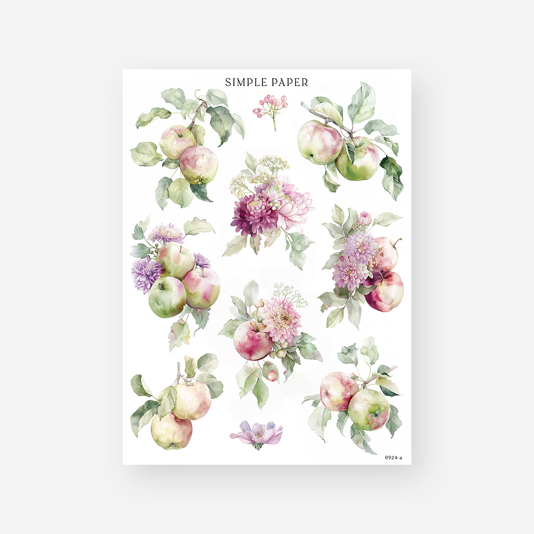 Watercolor apple branch and chrysanthemum flower cluster stickers on white, September 2024 Sheet A