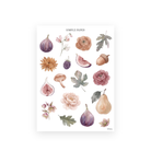 Autumn Living Sheet B sticker sheet: single watercolor figs, pears, ranunculus, peonies and oak leaves