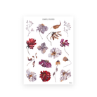 Pretty Season Sheet B sticker sheet: single watercolor poppies, a red rose, lilac cosmos, hydrangea and seed sprays