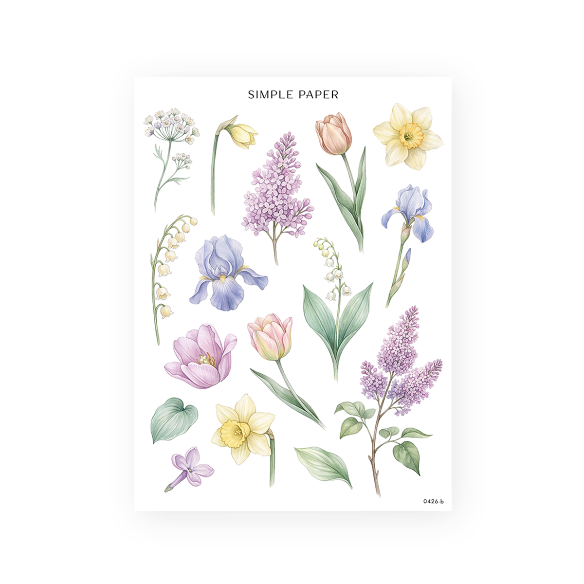 Single watercolor spring stems: blue irises, pink tulips, yellow daffodils, lilacs and lily of the valley