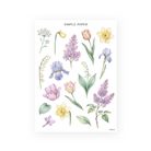 Single watercolor spring stems: blue irises, pink tulips, yellow daffodils, lilacs and lily of the valley